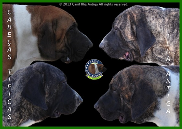 Fila Brasileiro